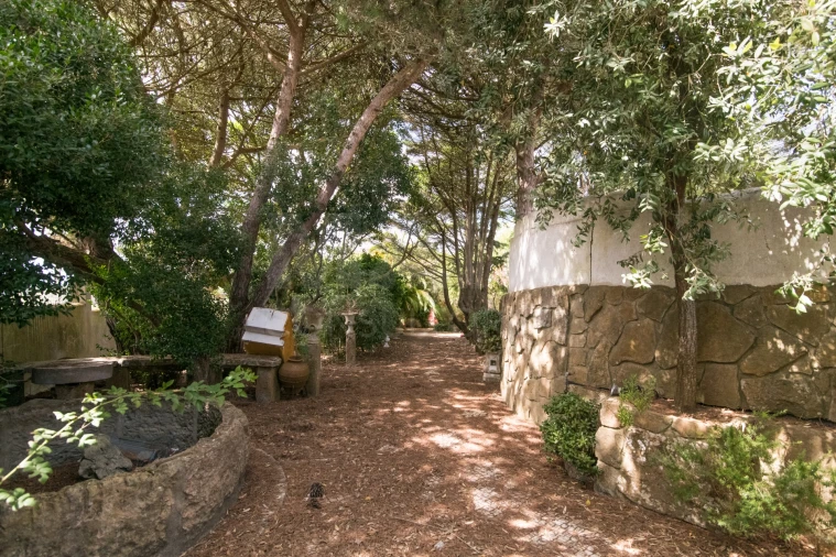 Quinta T7 para Venda em São João das Lampas e Terrugem Foto 10