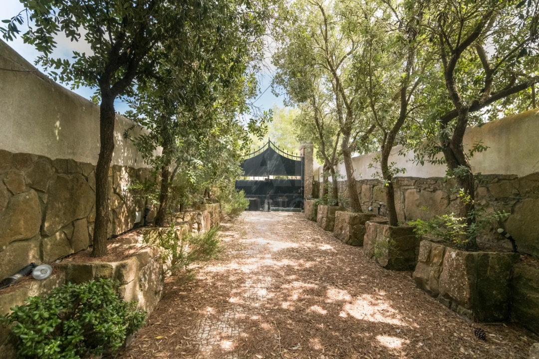 Quinta T7 para Venda em São João das Lampas e Terrugem Foto 8