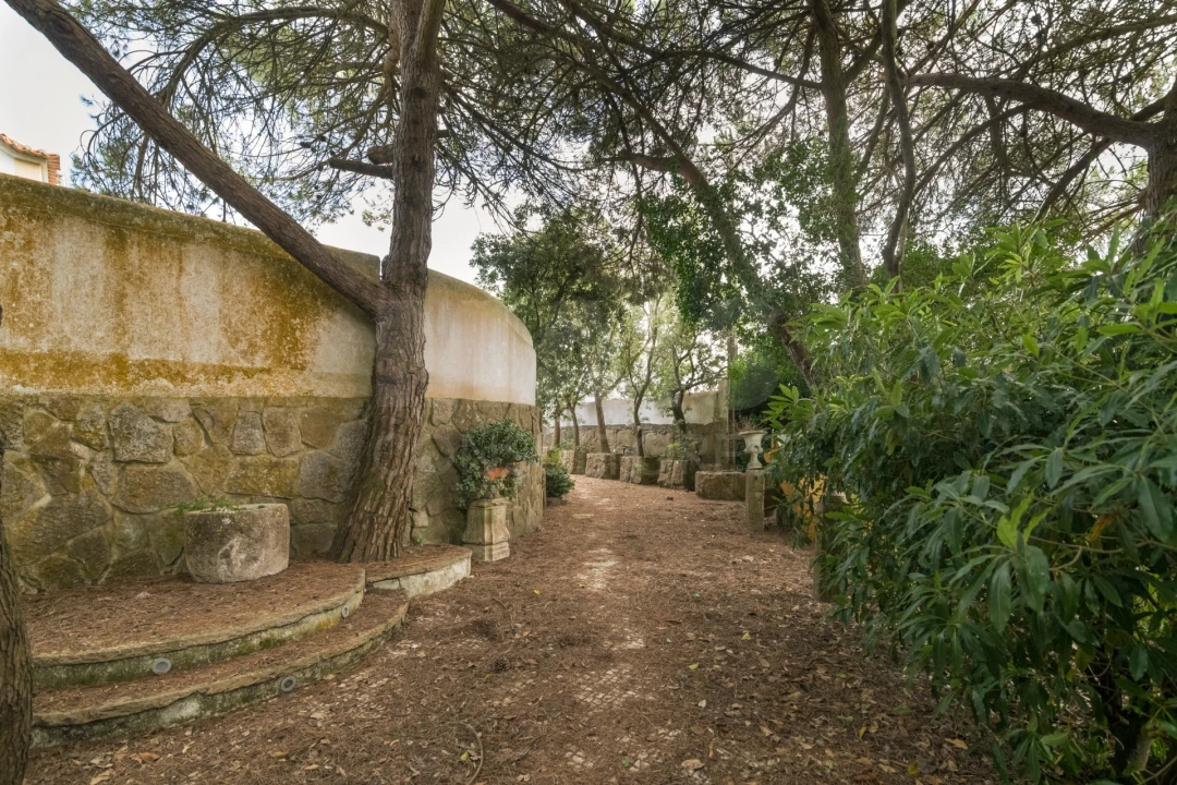 Quinta T7 para Venda em São João das Lampas e Terrugem Foto 11