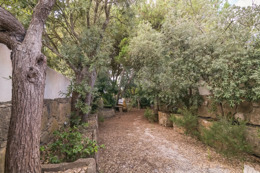 Quinta T7 para Venda em São João das Lampas e Terrugem Foto 9