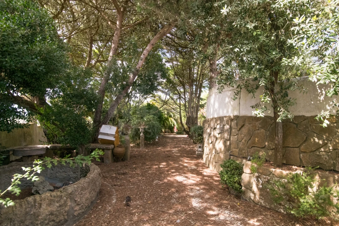 Quinta T7 para Venda em São João das Lampas e Terrugem Foto 10