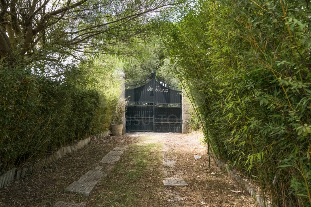 Quinta T7 para Venda em São João das Lampas e Terrugem Foto 7