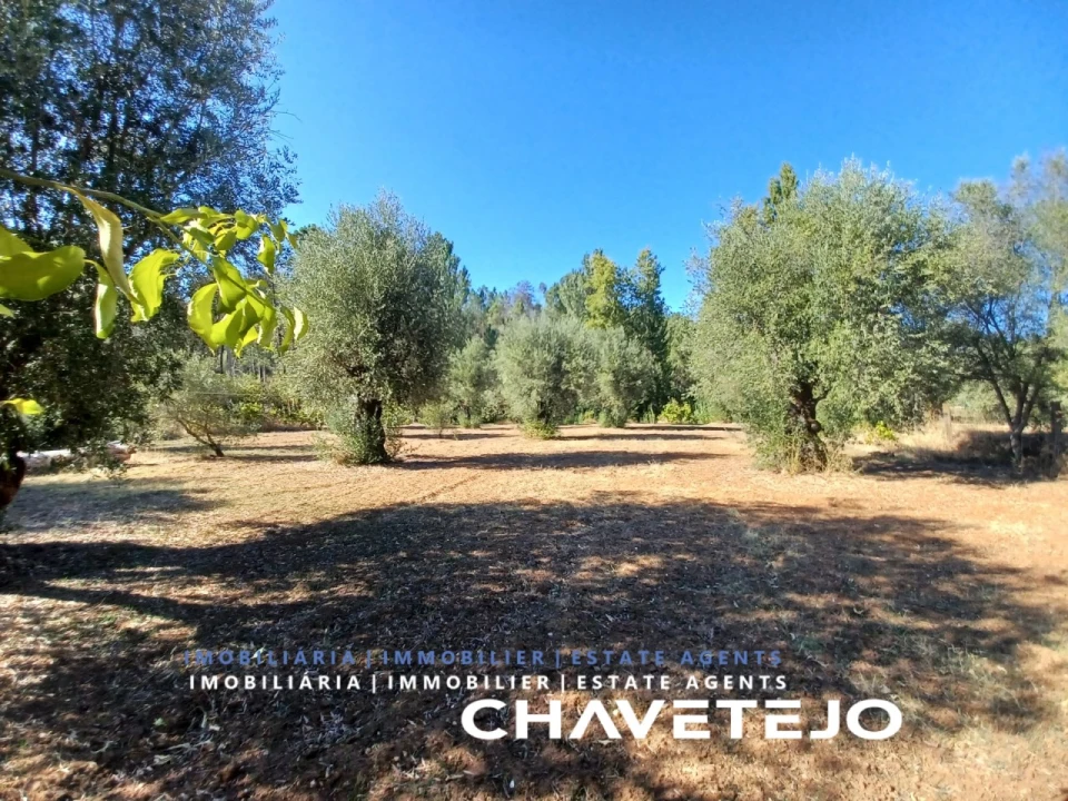 Moradia T4 para Venda em Madalena e Beselga Foto 38