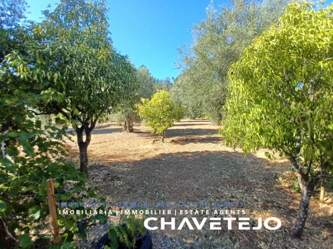 Moradia T4 para Venda em Madalena e Beselga Foto 39