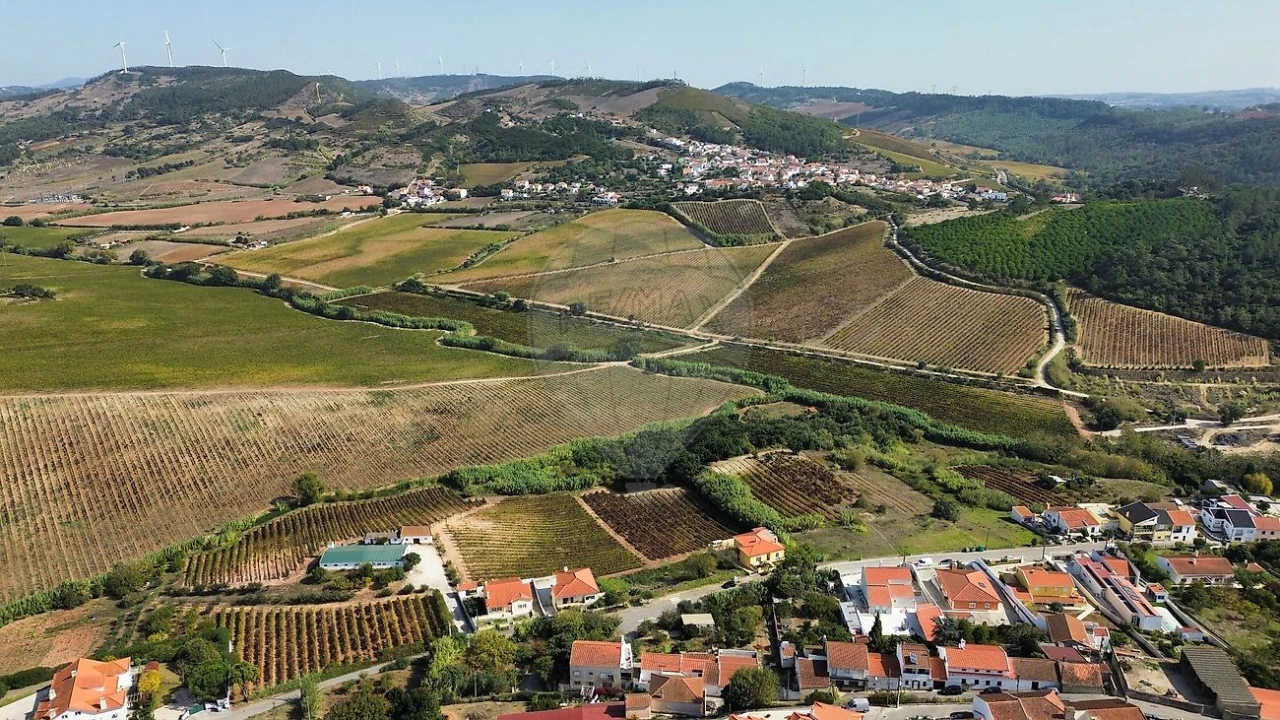 Terreno para Venda em Santa Maria, São Pedro e Matacães Foto 13
