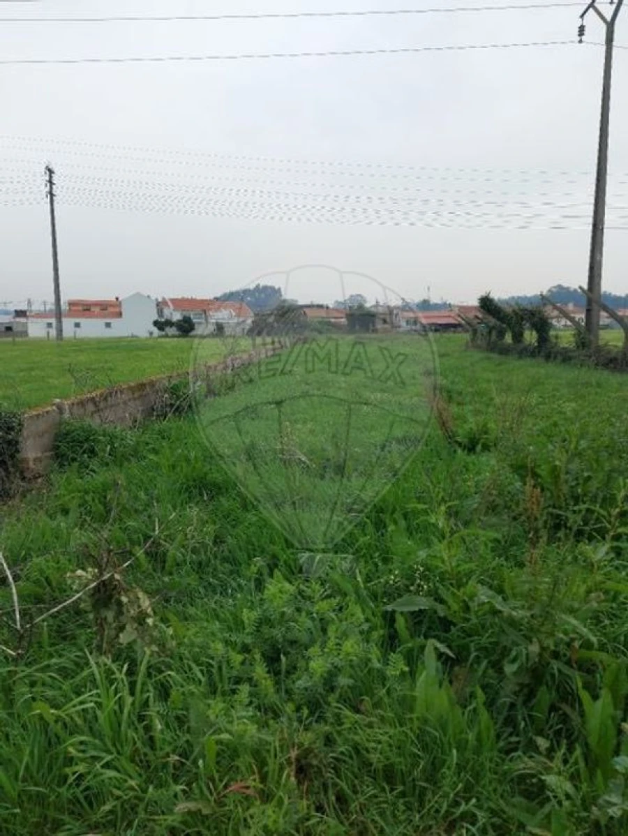 Moradia T1 para Venda em Avanca Foto 3