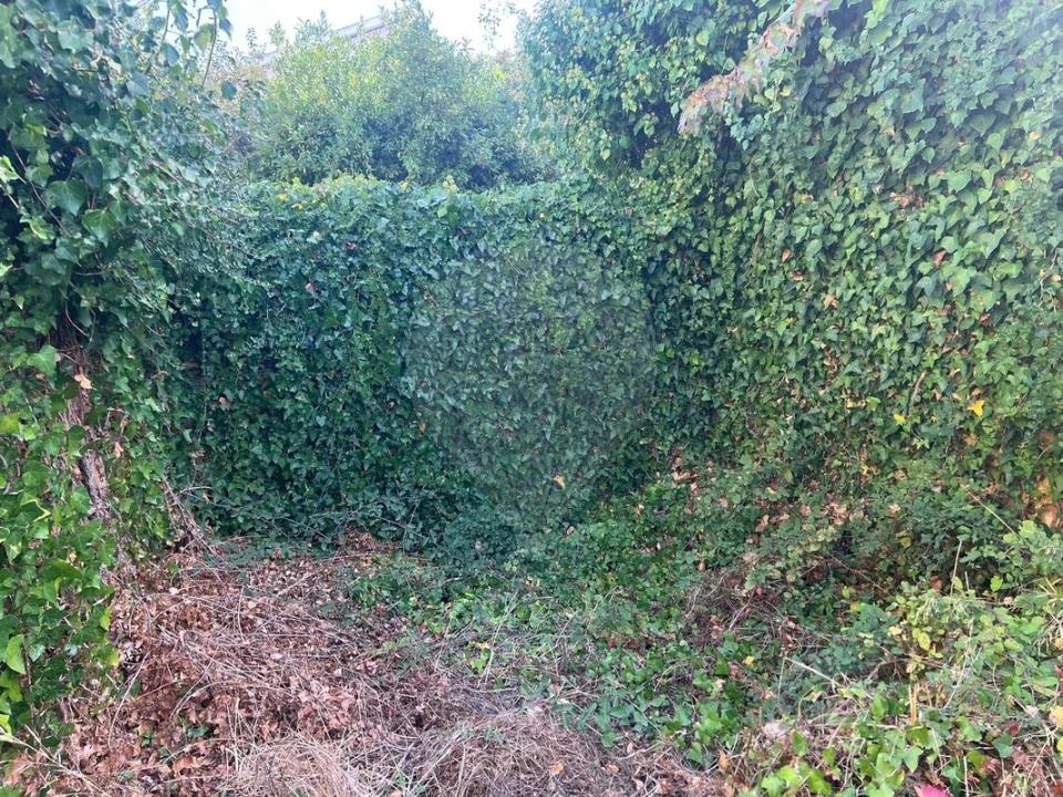 Moradia T2 para Venda em Abrigada e Cabanas de Torres Foto 6