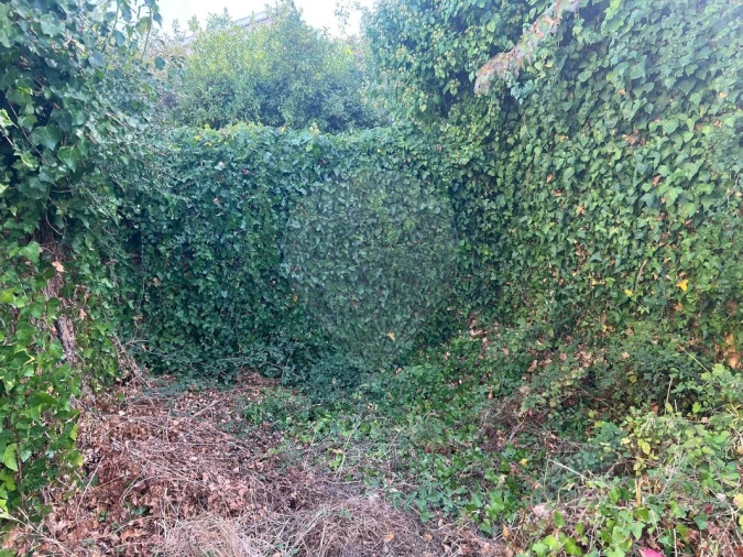 Moradia T2 para Venda em Abrigada e Cabanas de Torres Foto 6