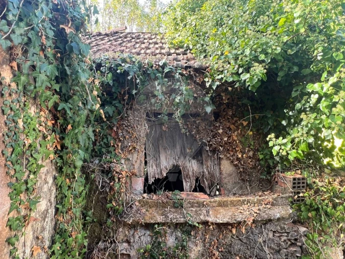 Moradia T2 para Venda em Abrigada e Cabanas de Torres Foto 13