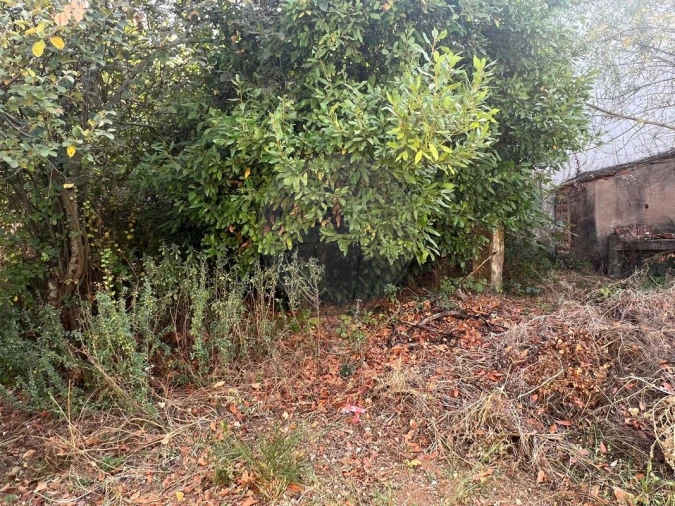 Moradia T2 para Venda em Abrigada e Cabanas de Torres Foto 14