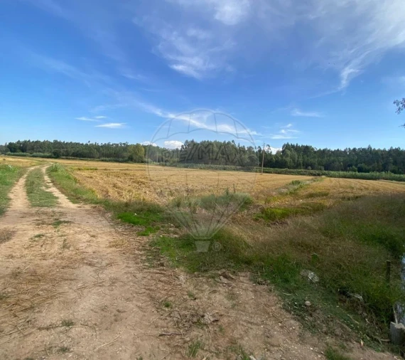 Terreno para Venda em Paião Foto 2