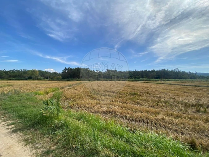 Terreno para Venda em Paião Foto 4