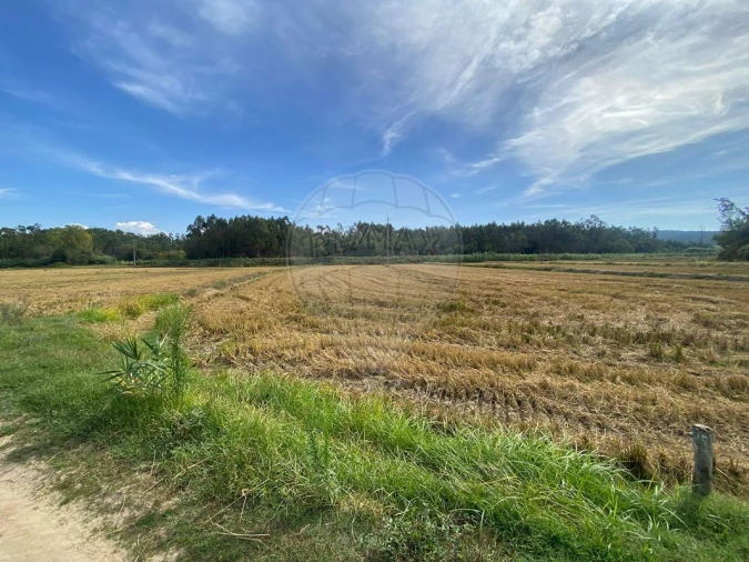 Terreno para Venda em Paião