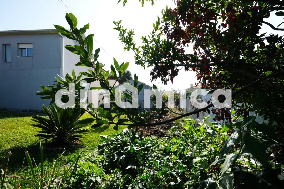 Moradia T3 para Venda em Ribeirão Foto 5