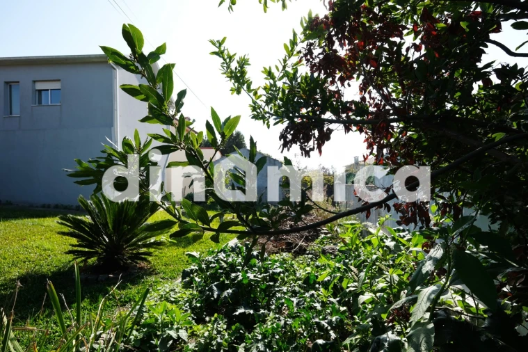 Moradia T3 para Venda em Ribeirão Foto 5