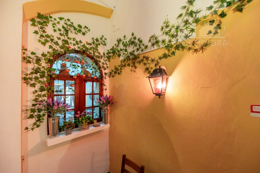 Negócio para Venda em Évora (São Mamede, Sé, São Pedro e Santo Antão) Foto 18