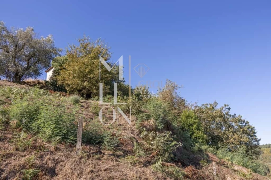 Quinta T3 para Venda em Jazente Foto 16