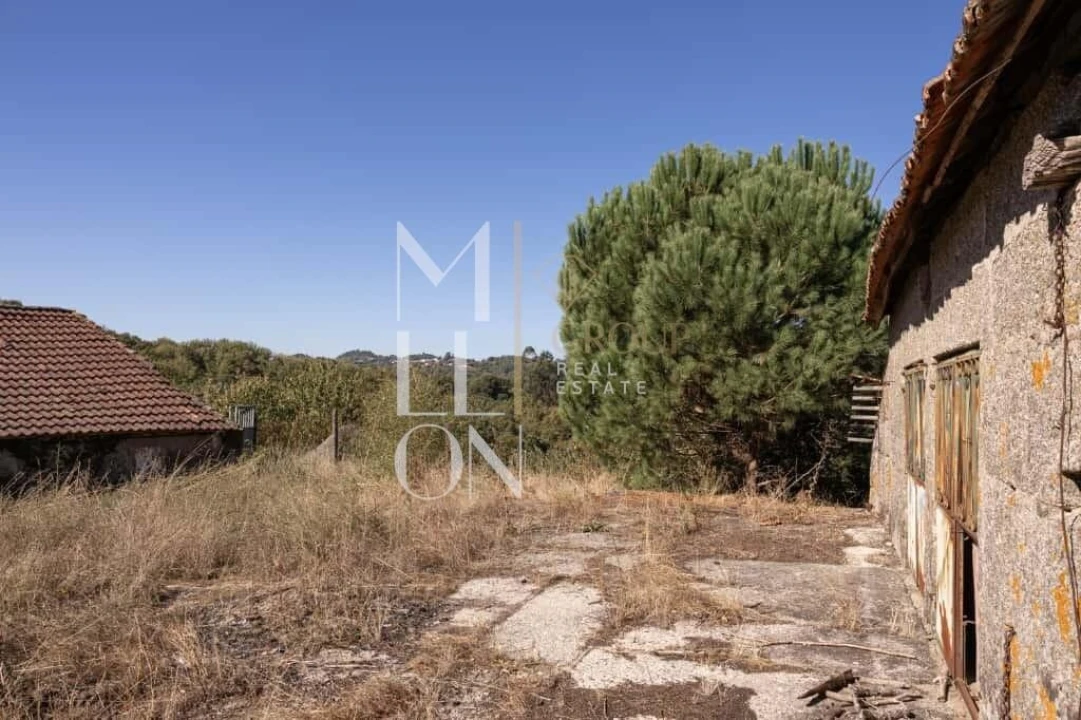 Quinta T3 para Venda em Jazente Foto 11