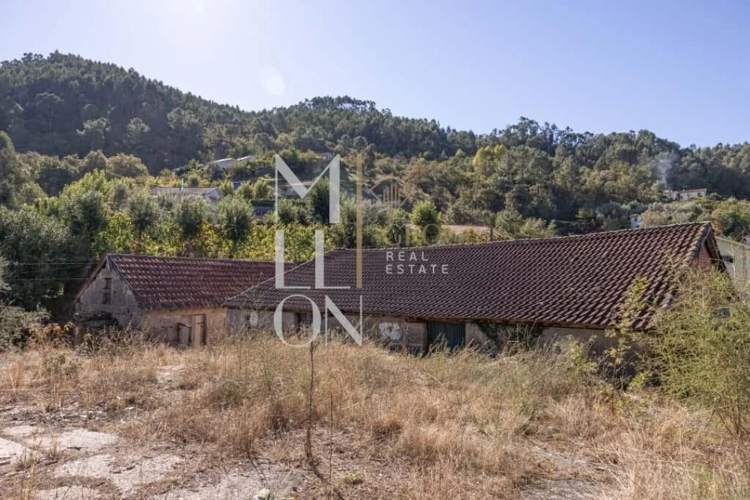 Quinta T3 para Venda em Jazente Foto 18