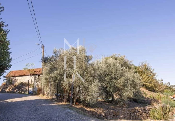 Quinta T3 para Venda em Jazente Foto 5