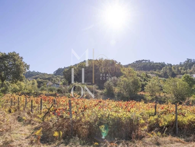 Quinta T3 para Venda em Jazente Foto 23