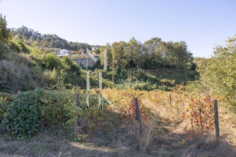 Quinta T3 para Venda em Jazente Foto 24