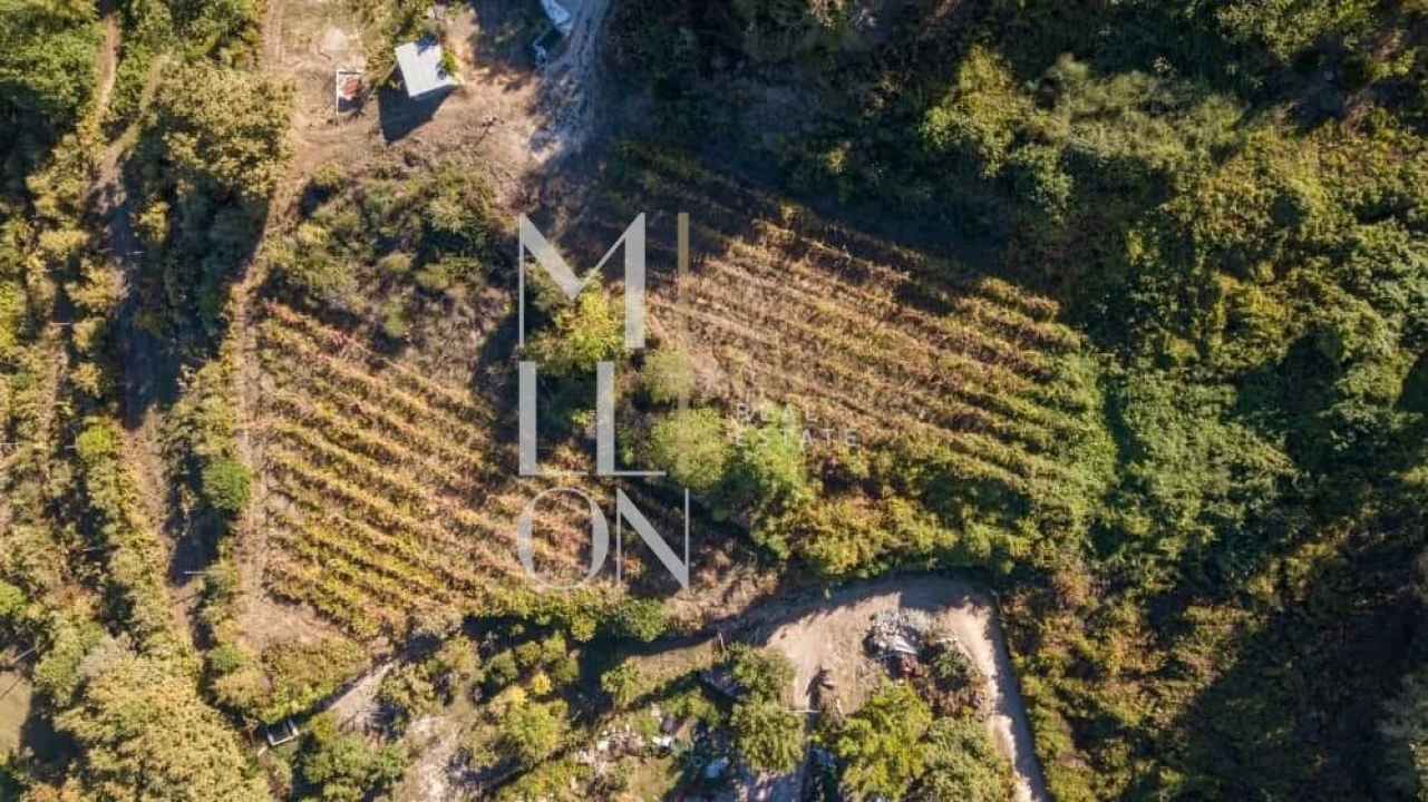 Quinta T3 para Venda em Jazente Foto 12