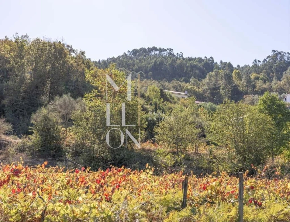 Quinta T3 para Venda em Jazente Foto 4