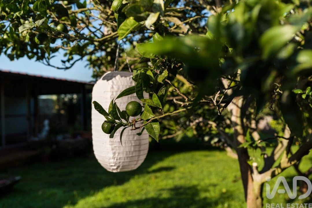 Negócio para Venda em Estela Foto 20