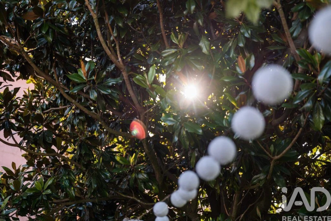 Negócio para Venda em Estela Foto 21