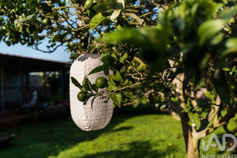 Negócio para Venda em Estela Foto 20