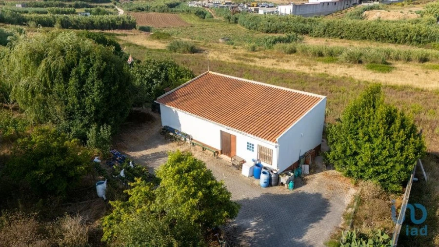 Moradia T1 para Venda em Lourinhã e Atalaia Foto 5