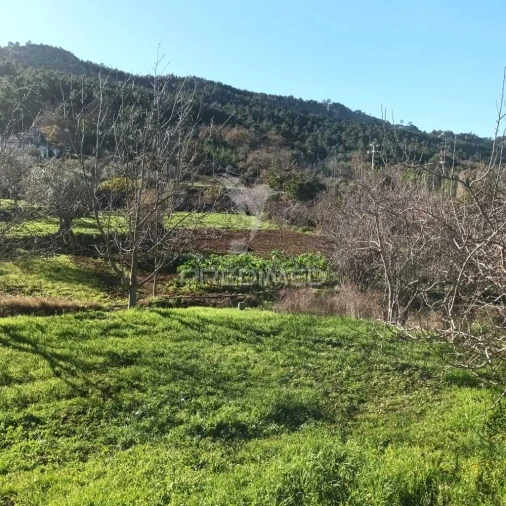Quinta T3 para Venda em Santa Maria da Devesa Foto 9