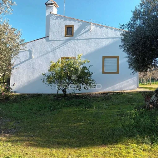 Quinta T3 para Venda em Santa Maria da Devesa Foto 10