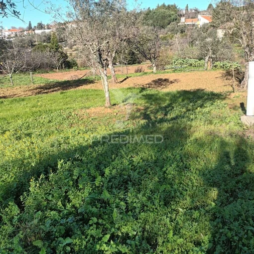 Quinta T3 para Venda em Santa Maria da Devesa Foto 2