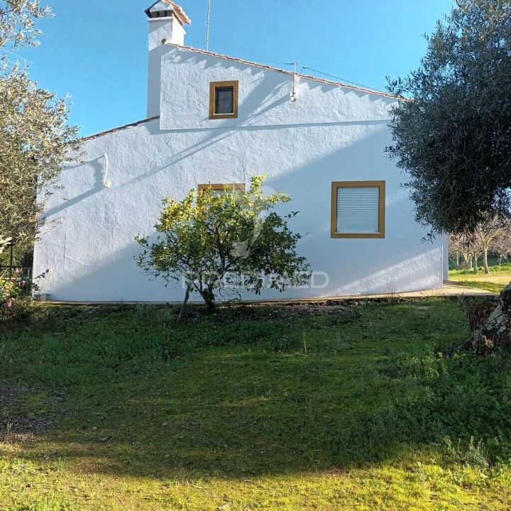 Quinta T3 para Venda em Santa Maria da Devesa Foto 10