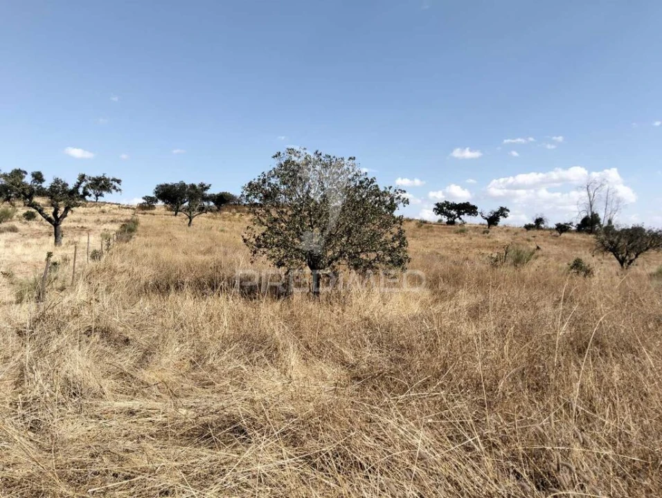 Terreno para Venda em Capelins (Santo Antonio) Foto 15