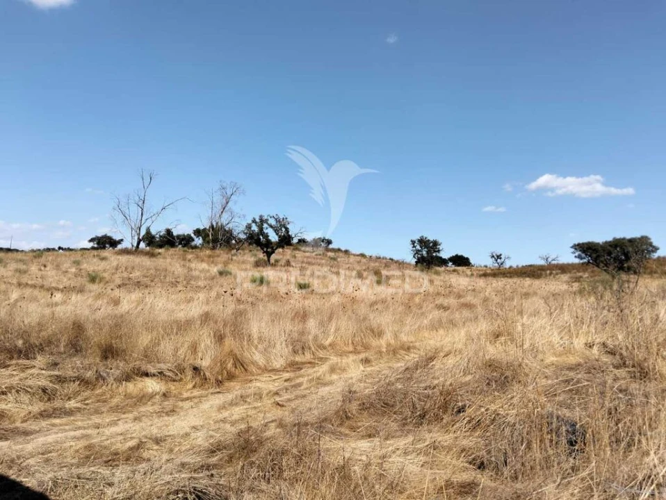 Terreno para Venda em Capelins (Santo Antonio) Foto 6