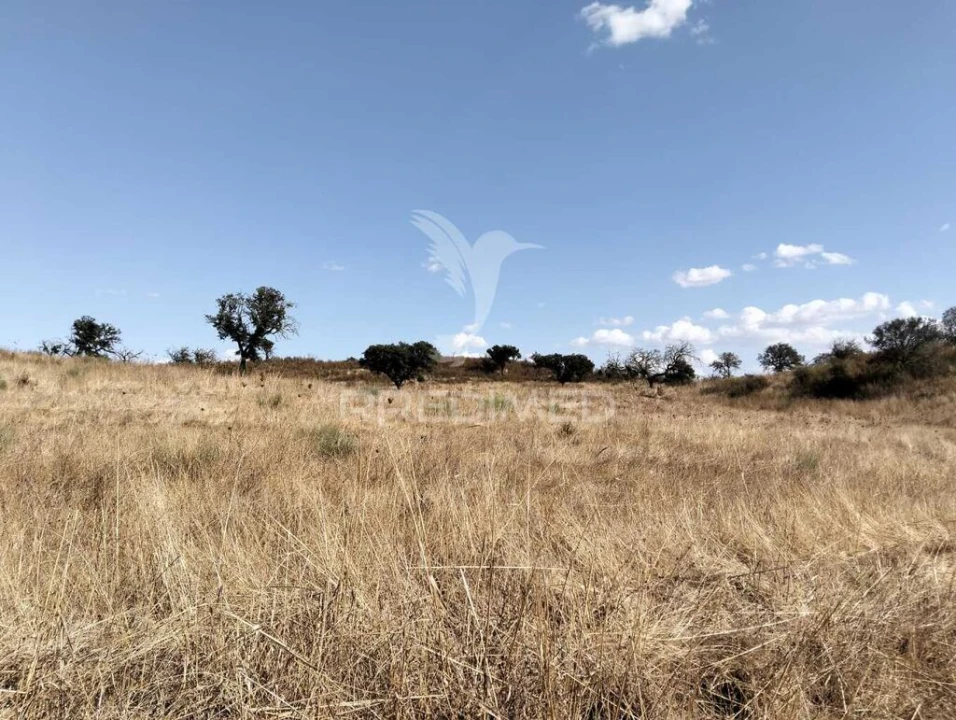 Terreno para Venda em Capelins (Santo Antonio) Foto 11