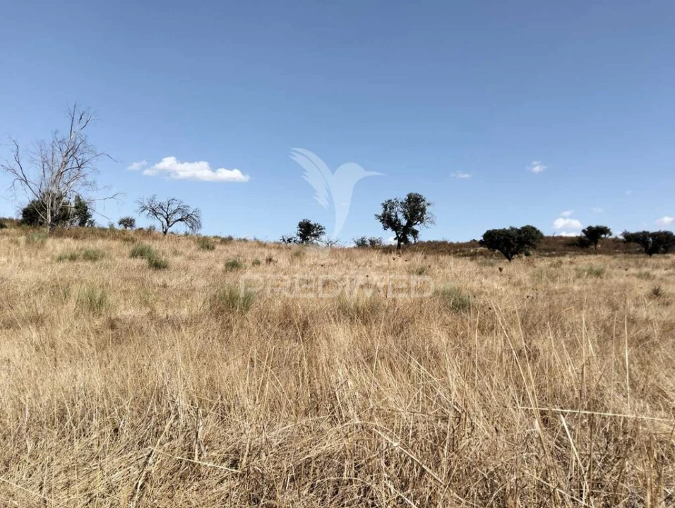 Terreno para Venda em Capelins (Santo Antonio) Foto 10