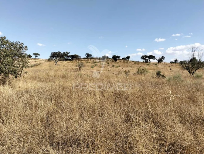 Terreno para Venda em Capelins (Santo Antonio) Foto 17