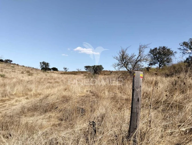 Terreno para Venda em Capelins (Santo Antonio) Foto 8