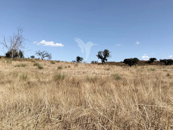 Terreno para Venda em Capelins (Santo Antonio) Foto 10
