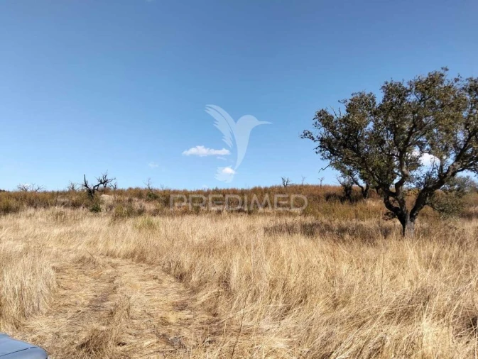 Terreno para Venda em Capelins (Santo Antonio)