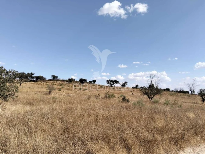 Terreno para Venda em Capelins (Santo Antonio) Foto 16