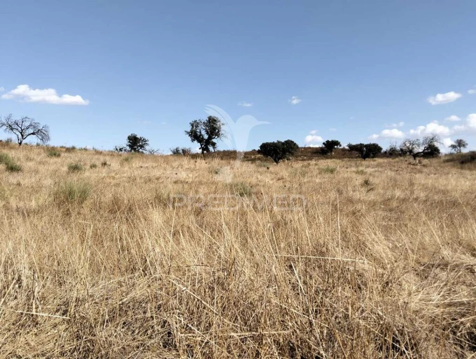 Terreno para Venda em Capelins (Santo Antonio) Foto 12