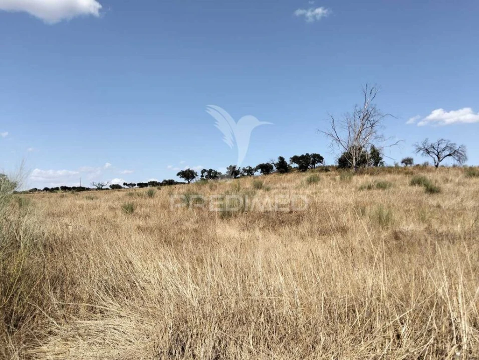 Terreno para Venda em Capelins (Santo Antonio) Foto 13