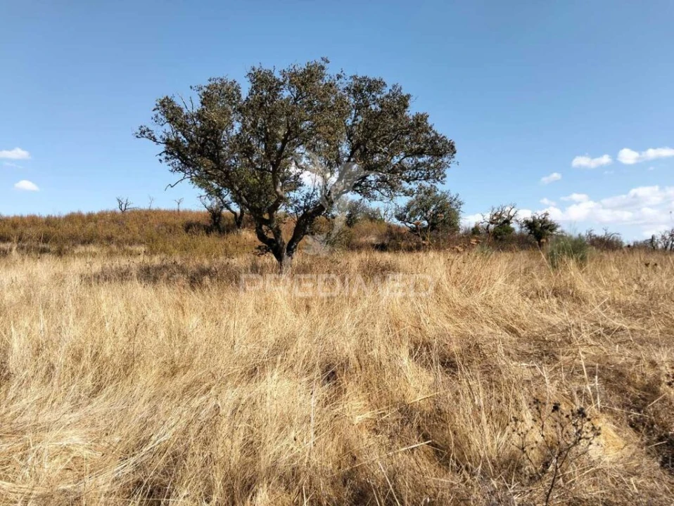 Terreno para Venda em Capelins (Santo Antonio) Foto 2