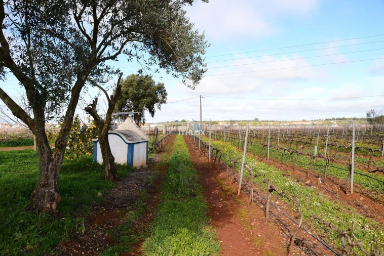 Quinta T4 para Venda em São Marcos da Ataboeira Foto 45