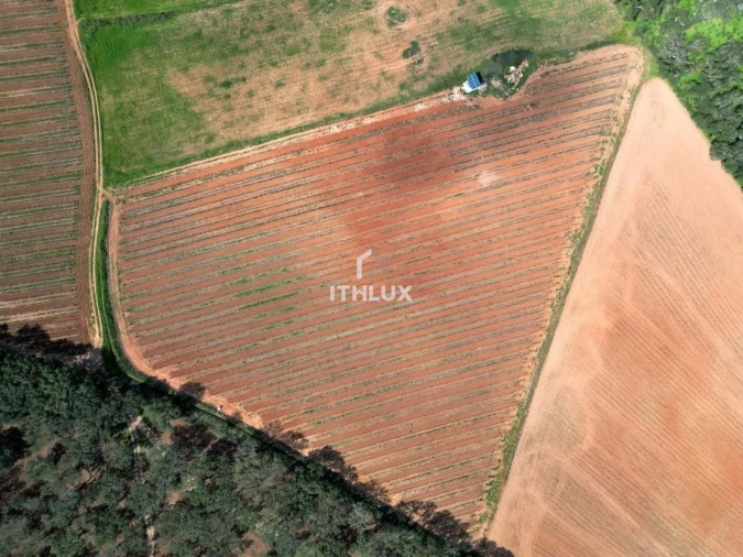 Quinta T4 para Venda em São Marcos da Ataboeira Foto 50